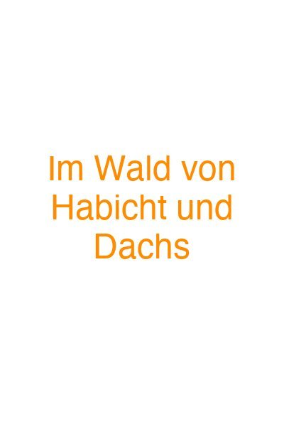 Im Wald von Habicht und Dachs