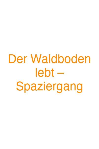 Der Waldboden lebt – Spaziergang