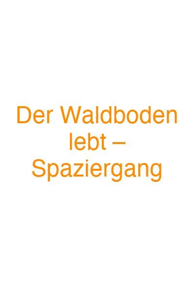 Der Waldboden lebt – Spaziergang