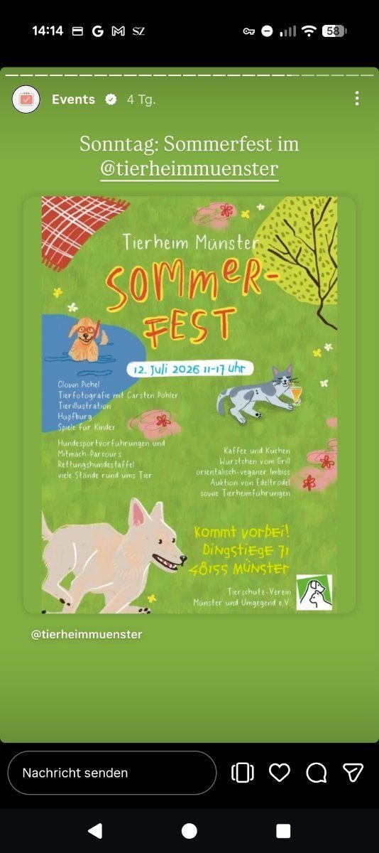 Sommerfest im Tierheim Münster