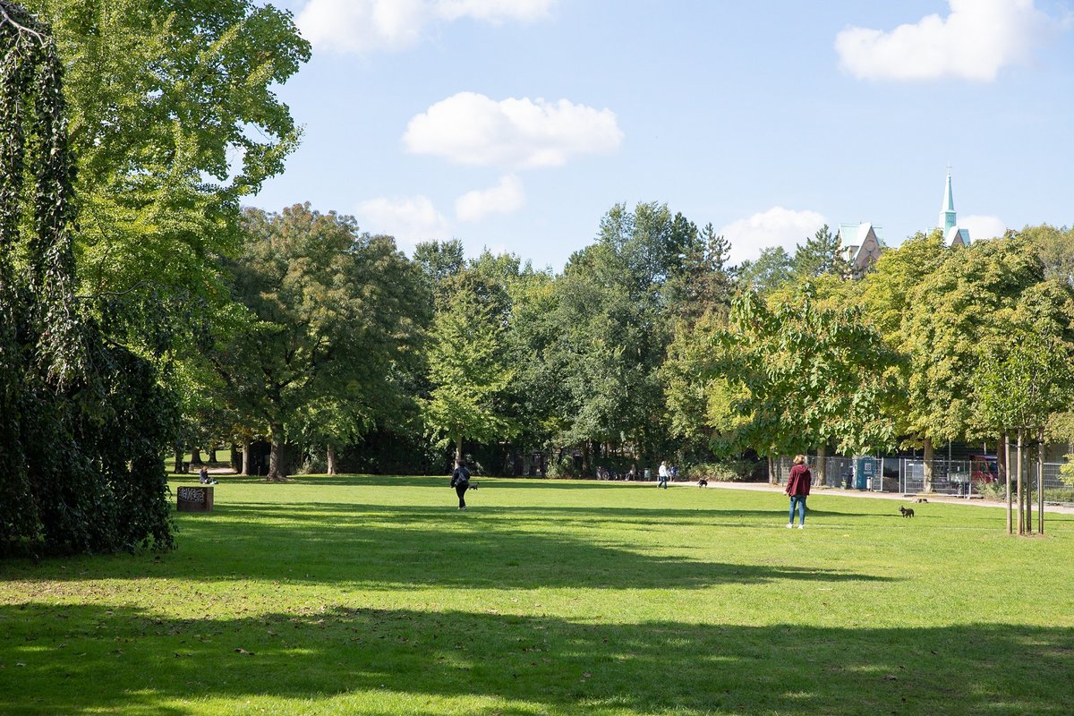 Südpark