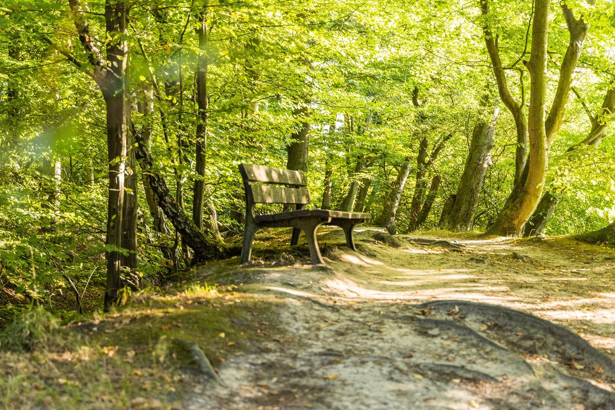 Wolbecker Tiergarten