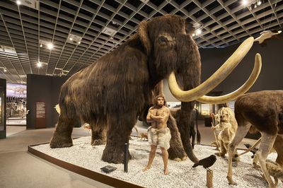 Mitmachaktionen im Museumsgarten